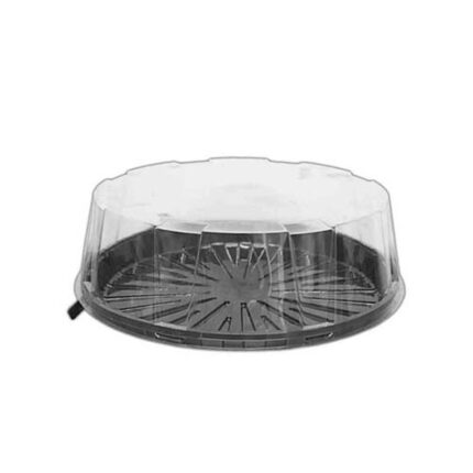 Caixa Bolo Transparente 20x8cm